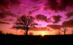 sky_sunset_nature_216079[1].jpg