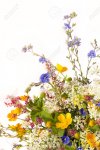 41619091-bouquet-de-fleurs-de-fleurs-des-champs-et-des-prés-sur-un-fond-blanc-.jpg