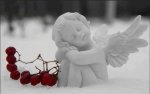 eso-ange-neige-et-cerises-gde-photo.jpg