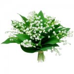 bouquet-100-muguet-250x250-21448.jpg