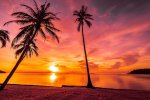au-coucher-du-soleil-plage-tropicale-mer-cocotier_74190-1075.jpg