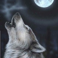 Loup Gris