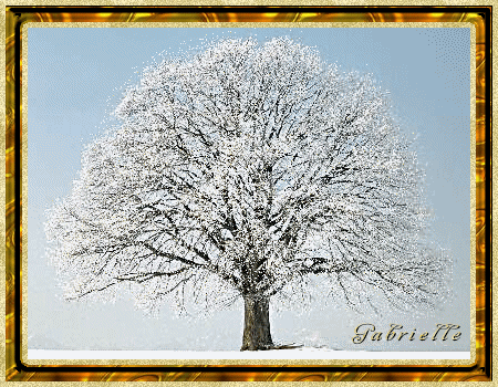 01 novembre.gif