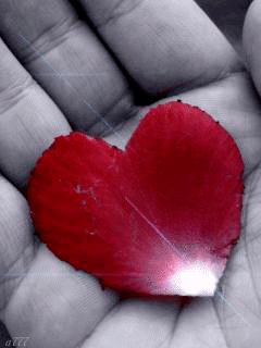 060aef9b39893d91c9336a89b36eafce.gif