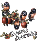 0fd3e56d.gif