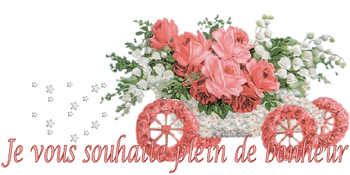 1 ab   muguet super.gif