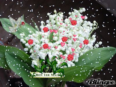 1 Beau muguet      super.gif