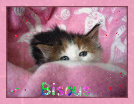 1 bisous.gif