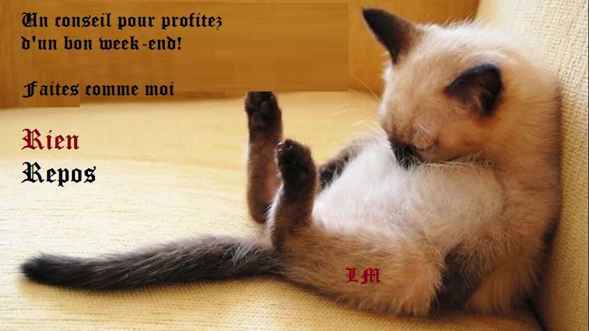 1 bon we.jpg