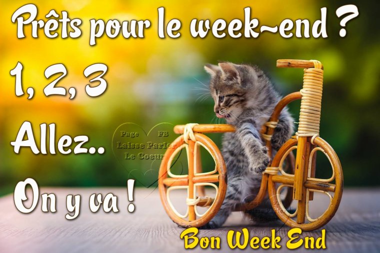 1 bon we super.jpg