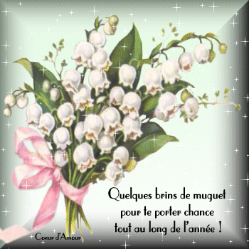 1 bonne journée muguet.gif