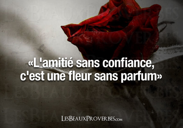 1 confiance.jpg