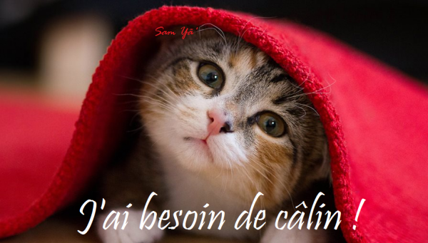 1 J'ai besoin d'un câlin.png