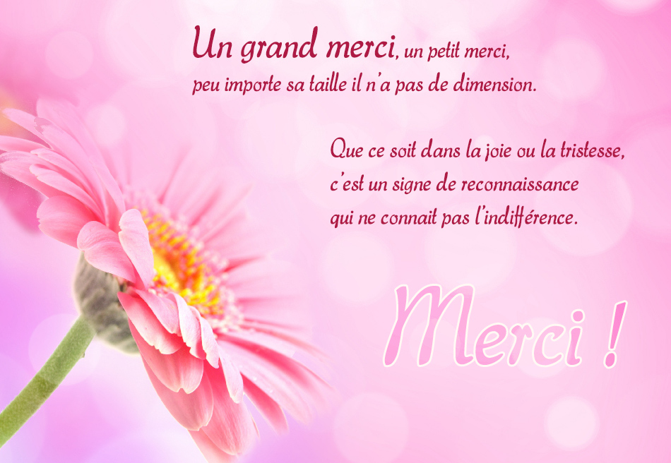 1 Merci.jpg