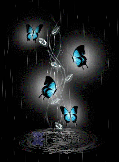 1 papillons super.gif