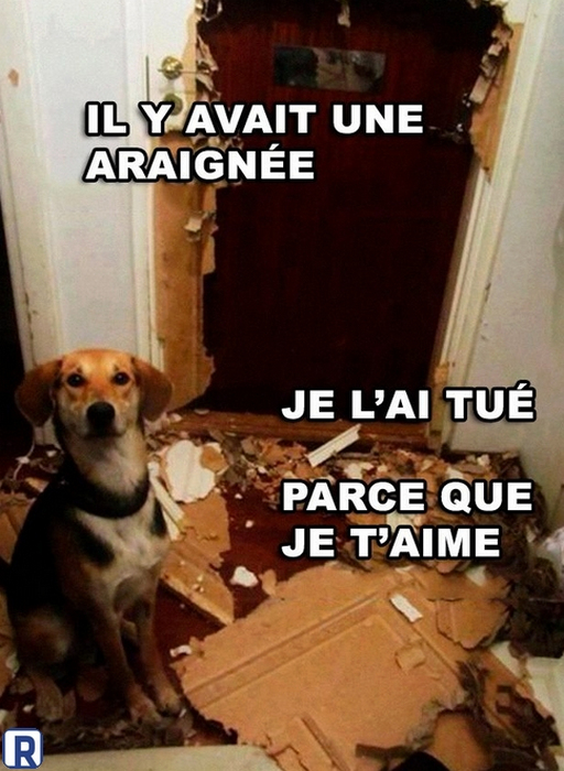 1545073996035.png