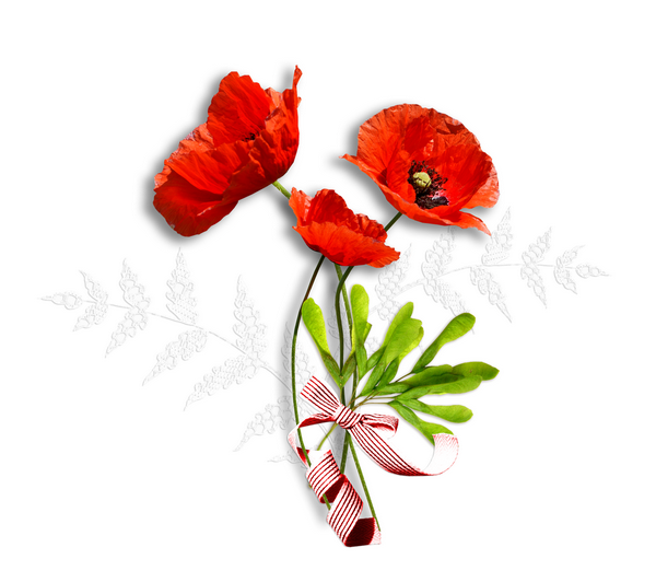 1548078385095.png