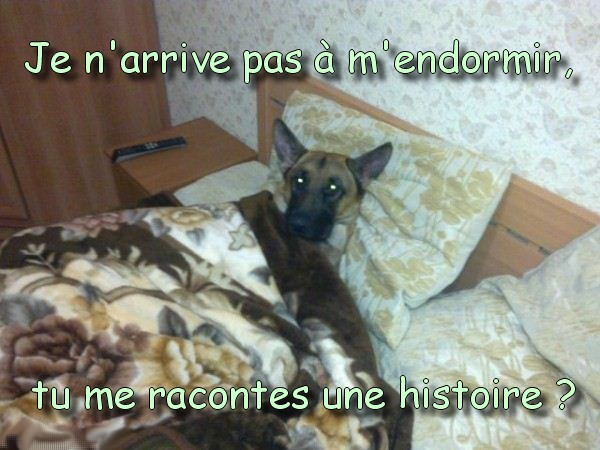 1548705403295.png