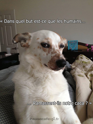 1548878303701.png