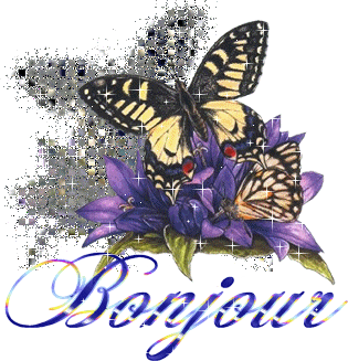 1549104304390.png