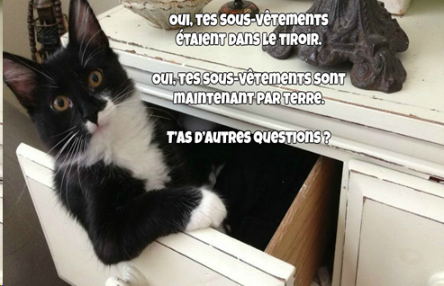 1550078743984.png
