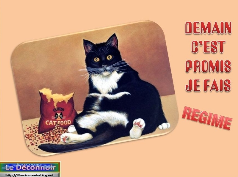 1550690655750.png
