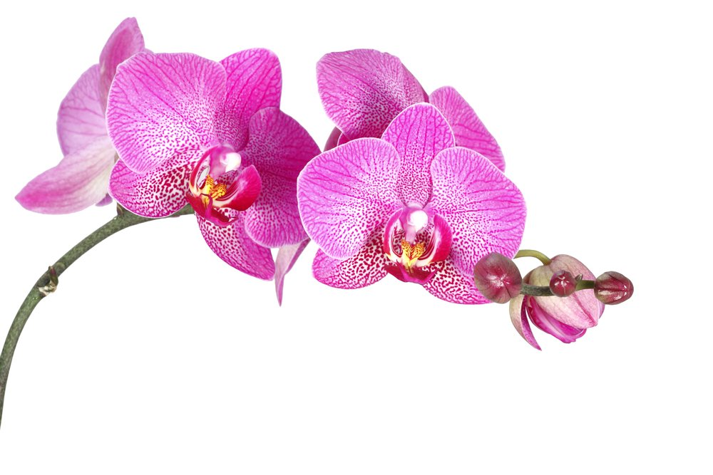 1553166468162.png