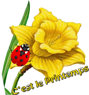 1553338154992.png