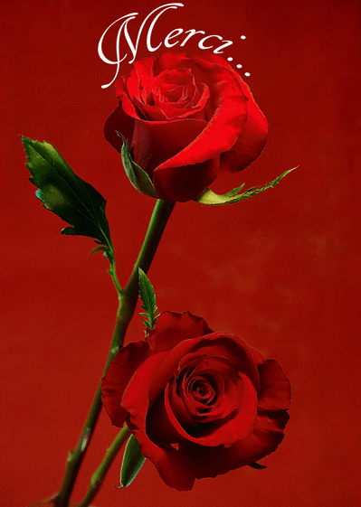 1555093099967.png