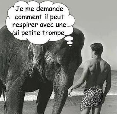 1555433794450.png
