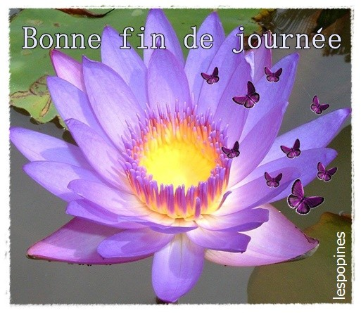 1556119111431.png