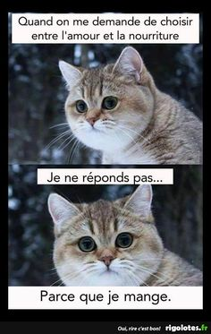 1556201184438.png