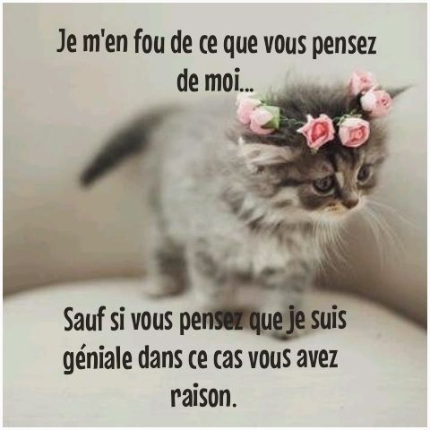 1556204590192.png