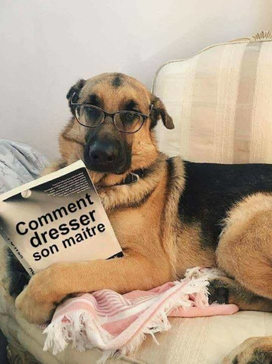 1556477137968.png