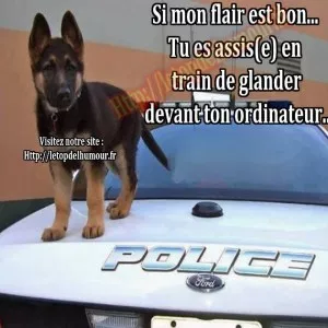 1556548928490.png