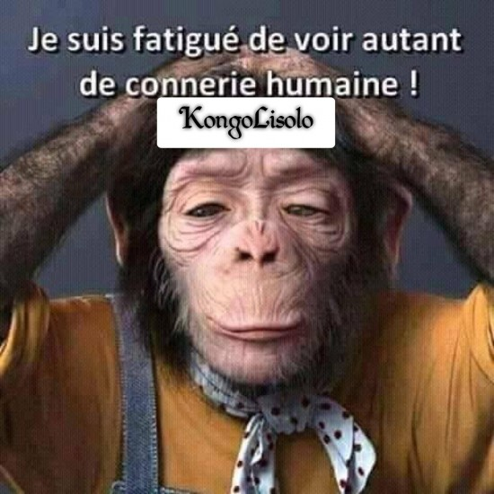 1556888439494.png