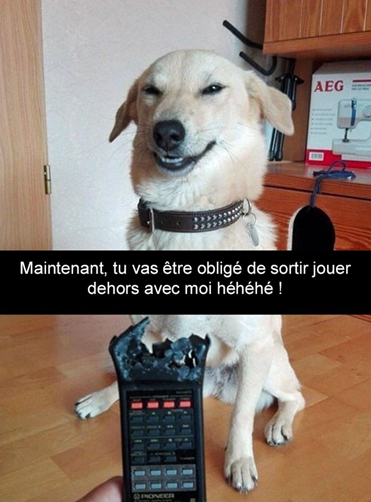 1557338650908.png