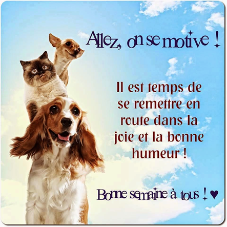 1557765645446.png