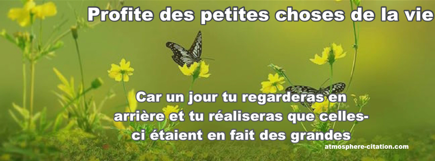 1558775315467.png