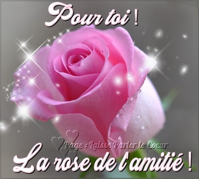 1558777881161.png