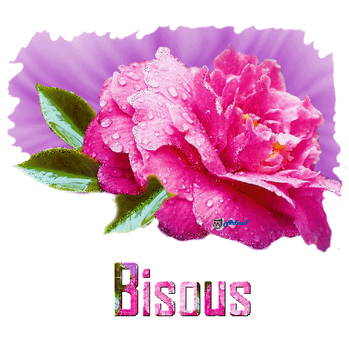 1558863361641.png
