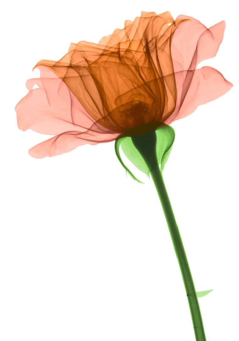 1559125422568.png