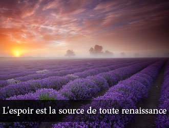 1559239965361.png