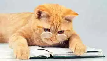 1559932253196.png
