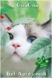 1561123033537.png