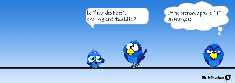 1561213949811.png