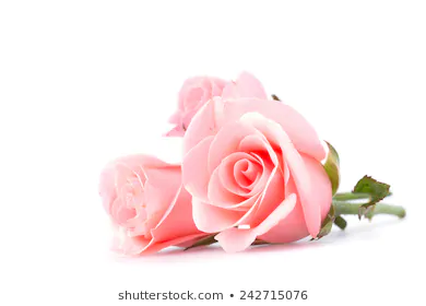 1561661078272.png