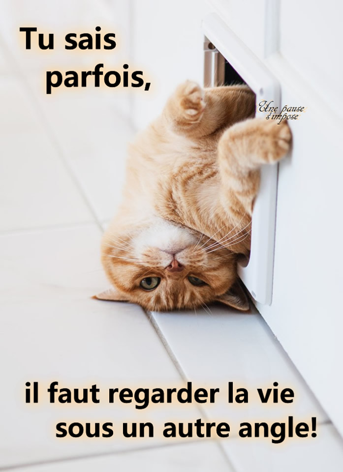 1562331248252.png