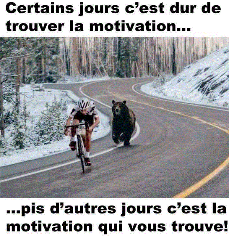 1562332015838.png