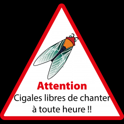 1563446024217.png
